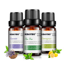 Essential Oil for Diffuser,Water-soluble Oil（10 ml） for Aromatherapy